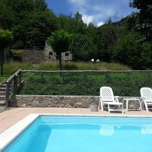 view of the Barn from pool; barn cleverly shaded by fig tree