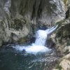 Dragana P