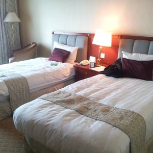 hotel rooms