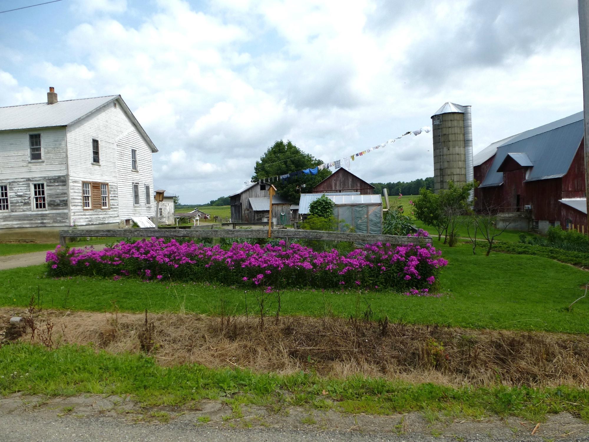 New York Amish Trail Randolph All You Need To Know BEFORE You Go   New York Amish Trail 