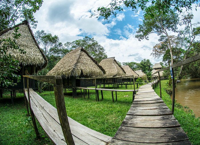 CUYABENO LODGE - Hotel Reviews (Cuyabeno Wildlife Reserve, Ecuador)