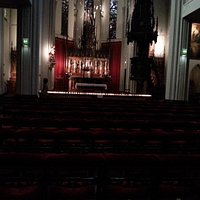 Papegaai - interieur