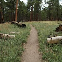 portion of the trail