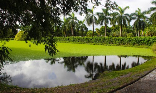 Instituto Ricardo Brennand