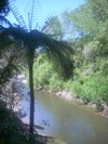 AkiwiNewZealand