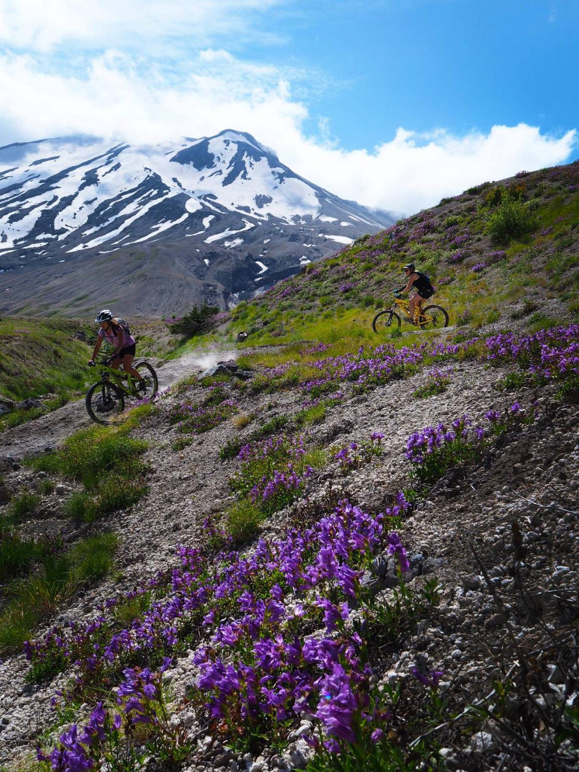 Mt hood discount mountain bike trails