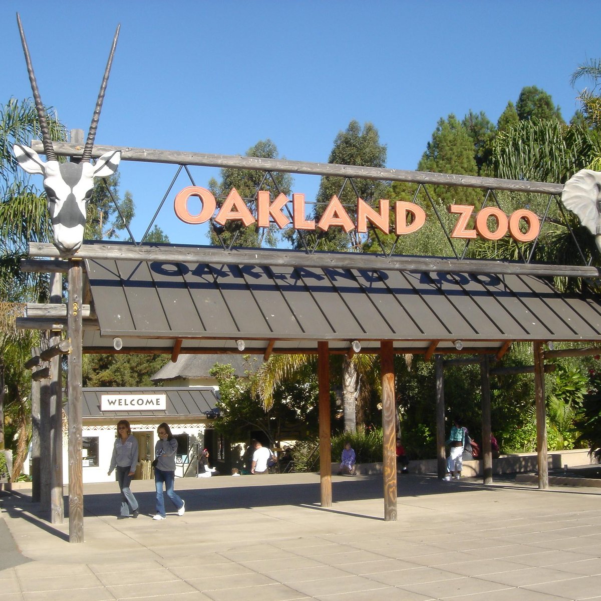 Oakland Zoo - All You MUST Know Before You Go (2024)