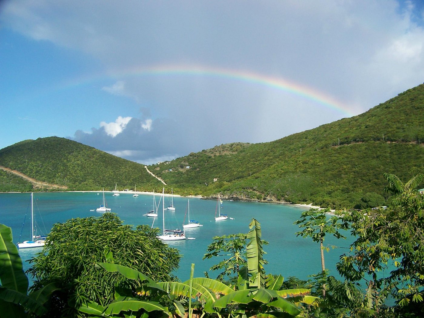 White Bay Villas And Beach Club Updated 2023 Prices And Villa Reviews Jost Van Dyke British