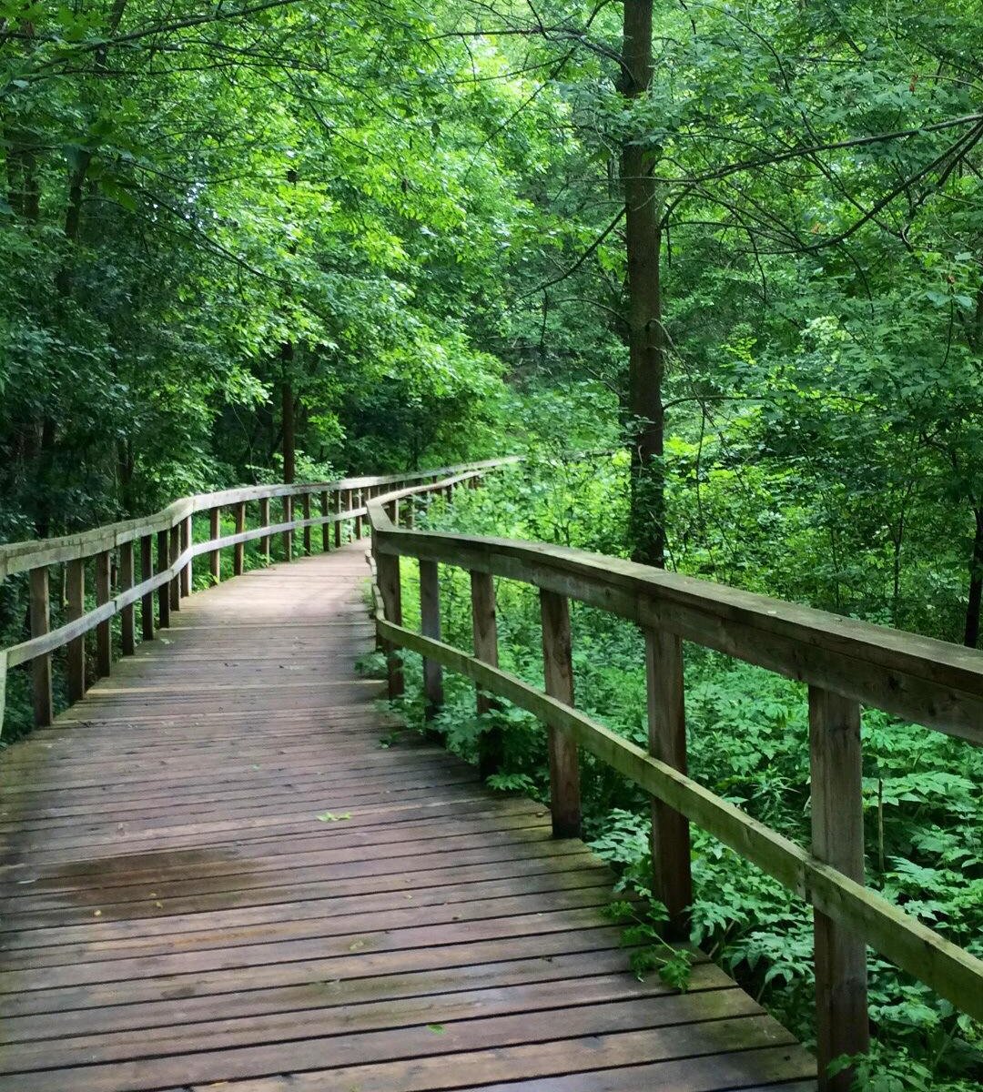 Conservation area