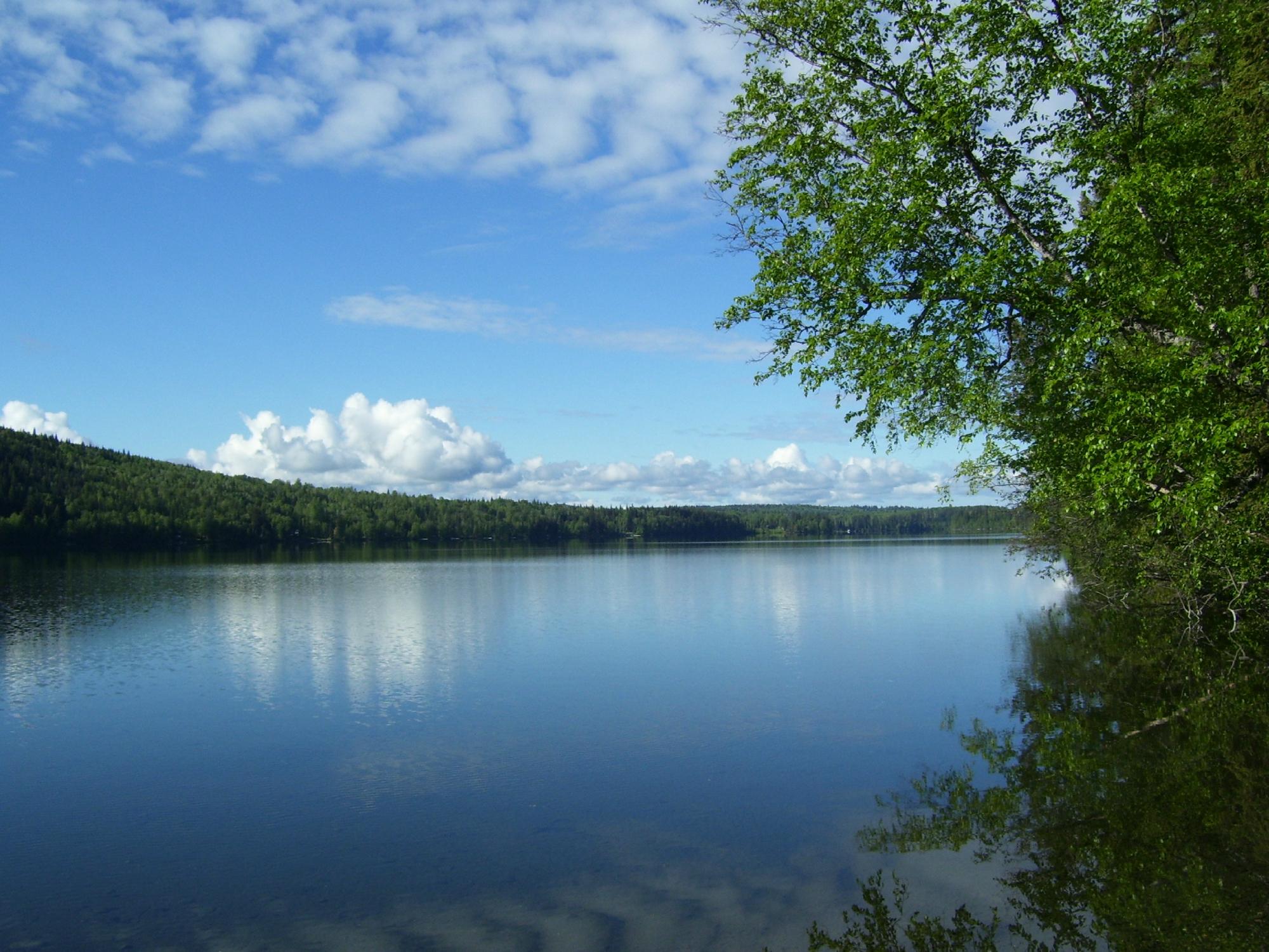 Horsefly Provincial Park : 2022 Ce Qu'il Faut Savoir Pour Votre Visite ...