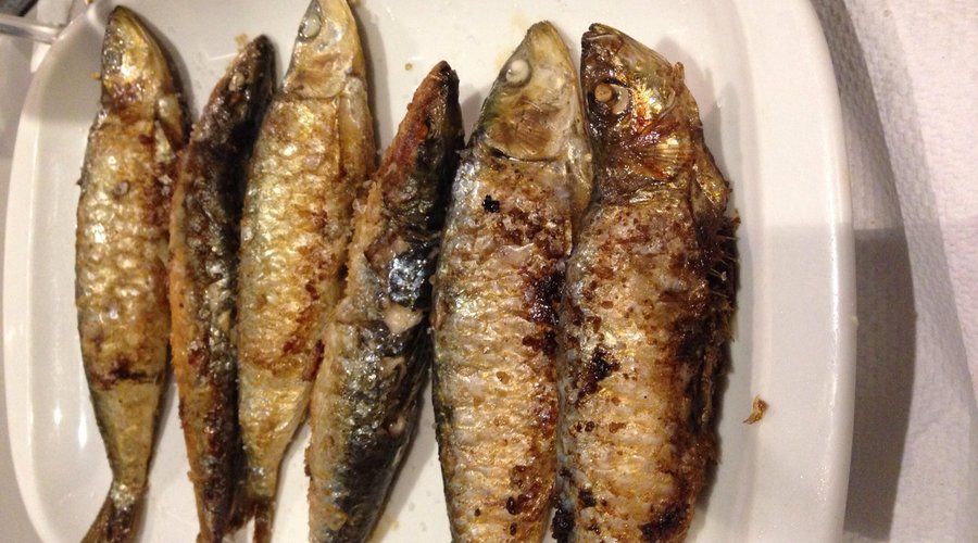 Sardinas