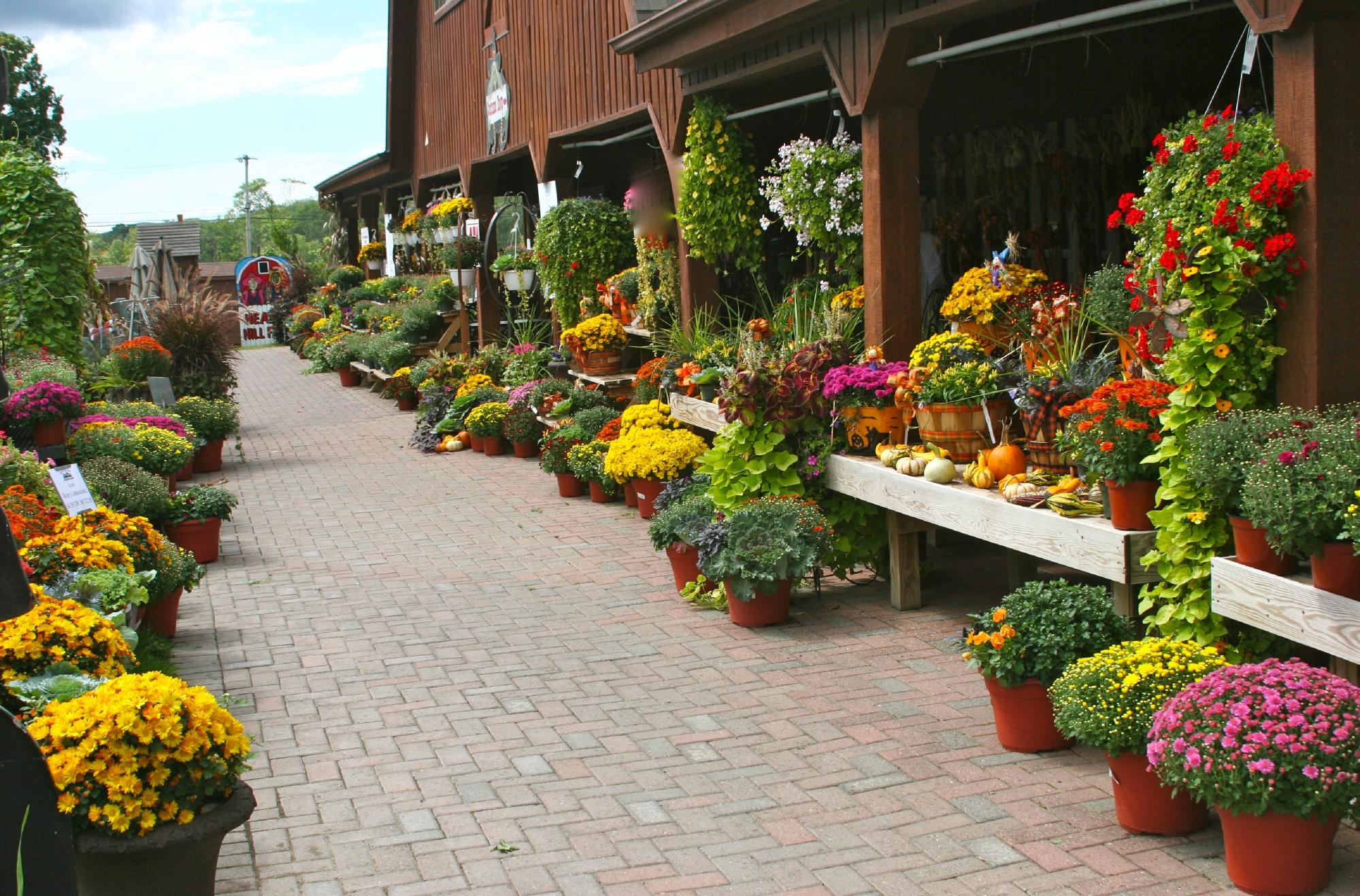 pumpkin patch in vernon nj