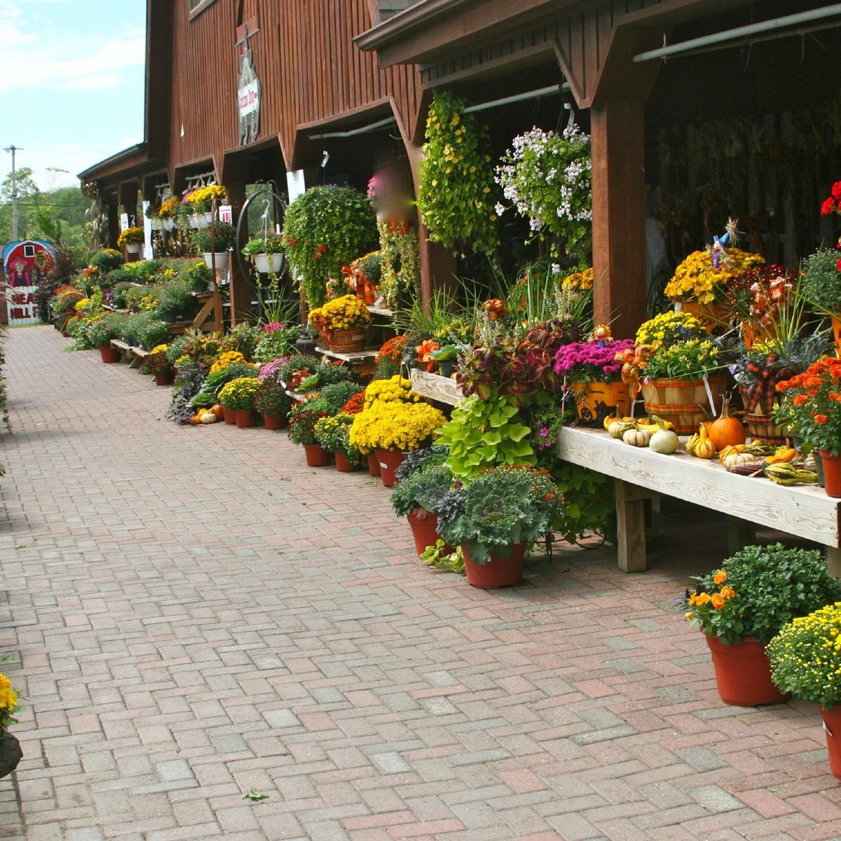 pumpkin picking vernon new jersey