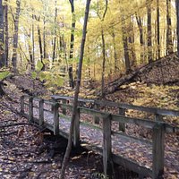 Bailey loop trail