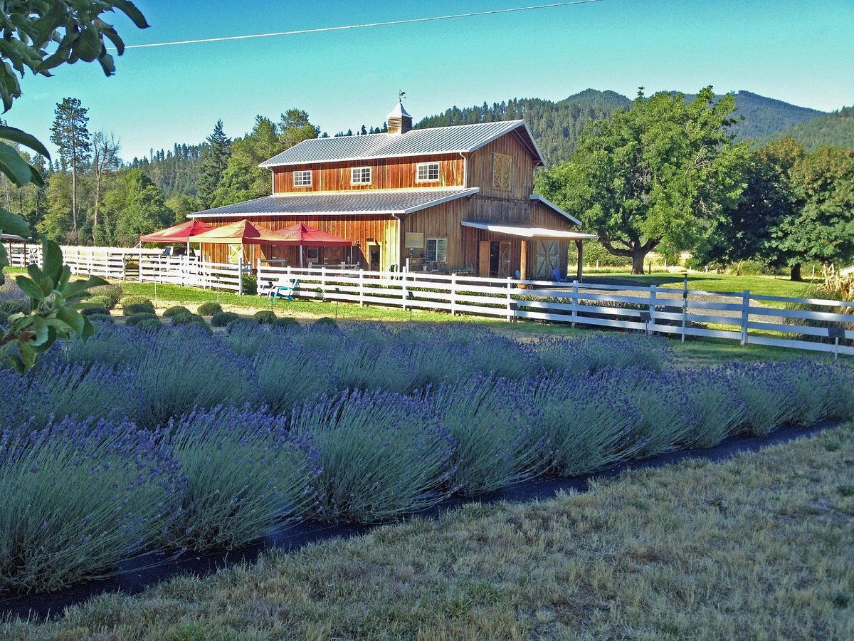 Applegate River Lavender Farm