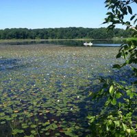 Mendon Ponds Park (Pittsford) - All You Need to Know BEFORE You Go