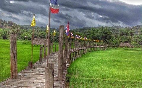 ร่วมแรงร่วมใจสร้างสะพานเพื่อข้ามผ่านไปยังสวนธรรมภูสมะ