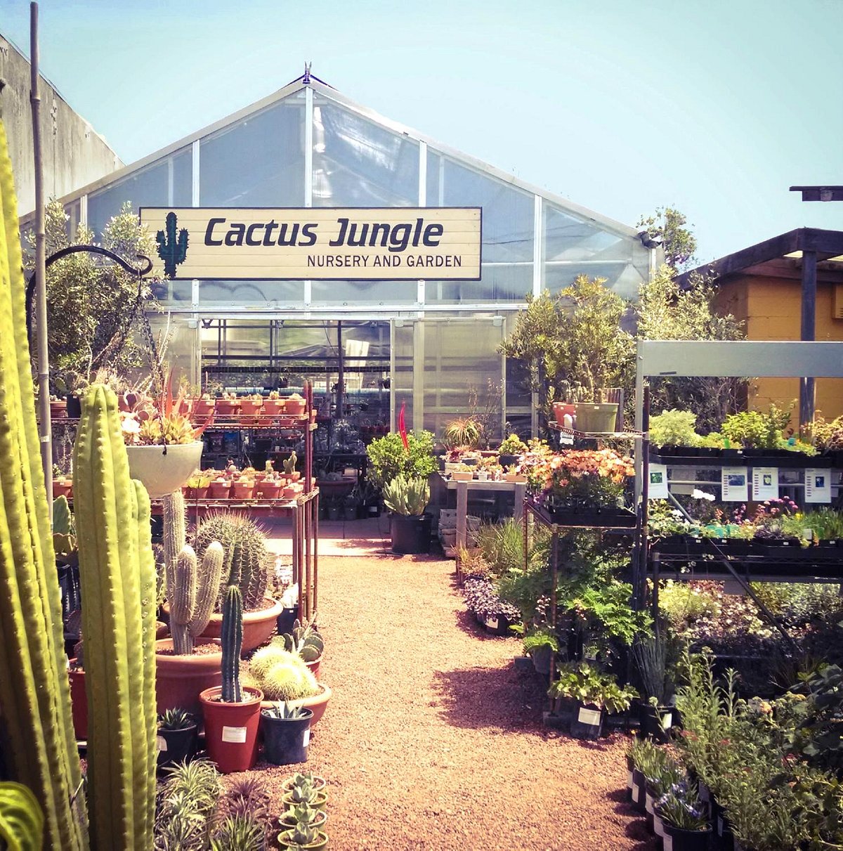 Cactus Jungle Berkeley - 2021 All You Need To Know Before You Go Tours Tickets With Photos - Tripadvisor