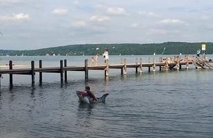From the shore of the Starnberger See