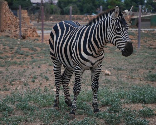 THE BEST Zoos & Aquariums in Majorca - Tripadvisor