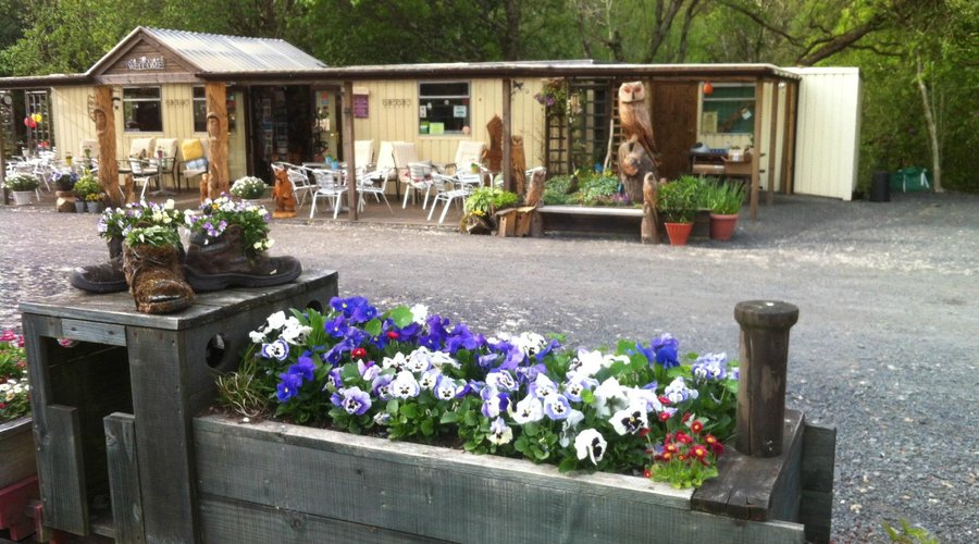 Late spring at Two Hoots
