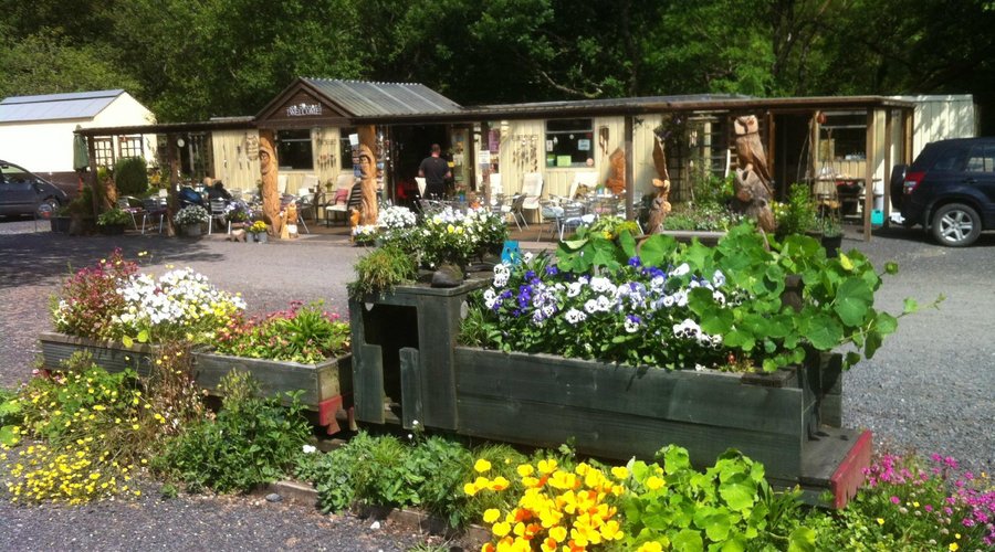 Summer flowers