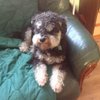 Geoff123_12