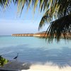 Sunandseainparadise