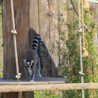 Izmir Wild Life Park - All You Need to Know BEFORE You Go