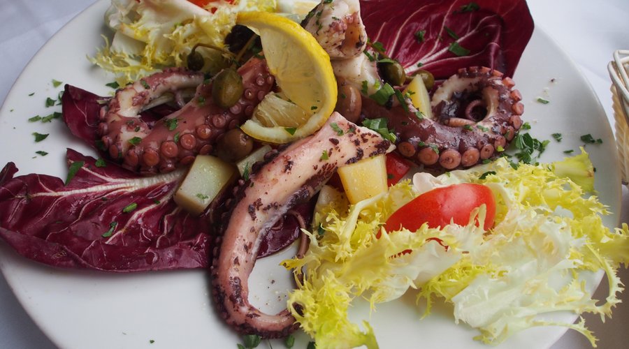 grilled octopus