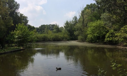 Laghetto