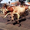 Carlos A