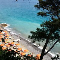 Dall'alto
