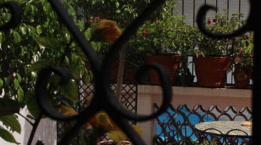 Casa de Huéspedes Arellano