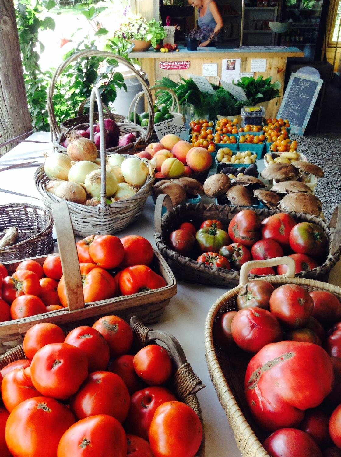 Nantucket Farm