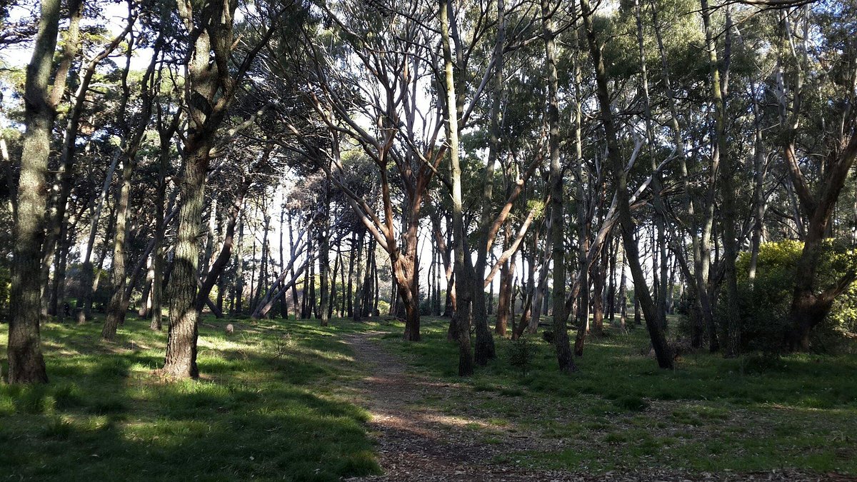 Parque Municipal Vivero Cosme Argerich (San Clemente del Tuyu) - All ...