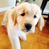 cpmurphyboy