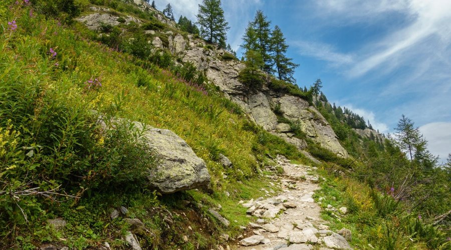 Typical footpath