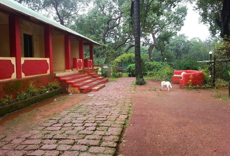 The premises