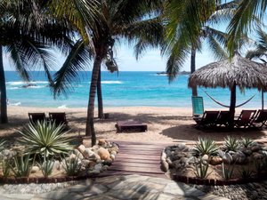 Pool & Beach
