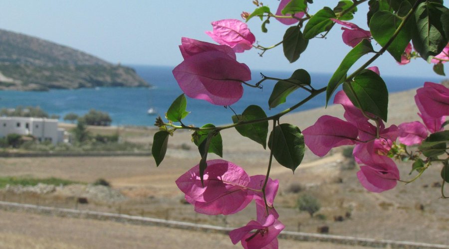PANORAMA STUDIOS - Condominium Reviews (Schinoussa, Greece) PANORAMA STUDIOS -  Condominium Reviews (Schinoussa, Greece)
