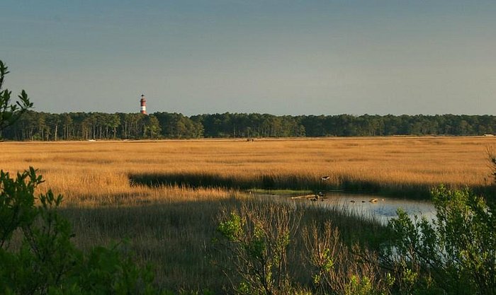 A Safe and Socially Distanced Chincoteague Island Getaway