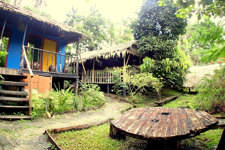 Jungle camp. Кемпинг в джунглях. Jungle Camp Palermo 3. Jungle Camp Dallas. Malaysia Camp.