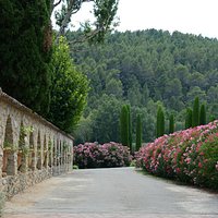 Beautiful setting