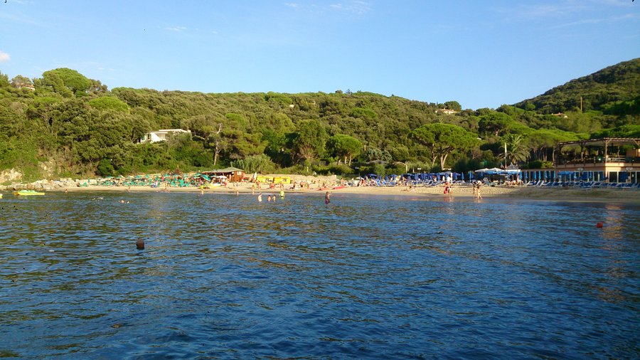 spartaia