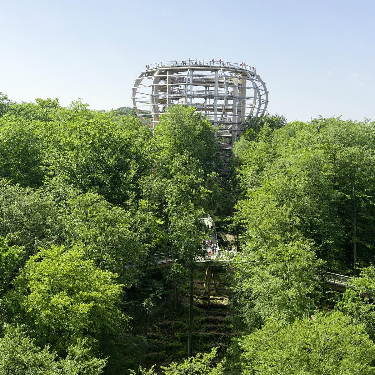 Baumwipfelpfad im Naturerbe Zentrum Rügen, Остзеебад-Бинц: лучшие советы  перед посещением - Tripadvisor