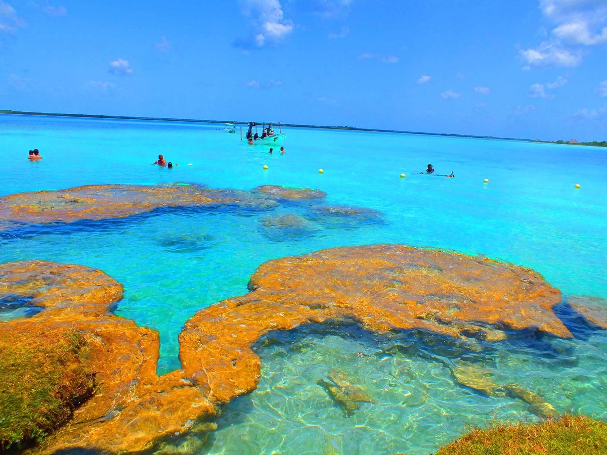 Cenotes Bacalar 2025: Los cinco que tienes que conocer