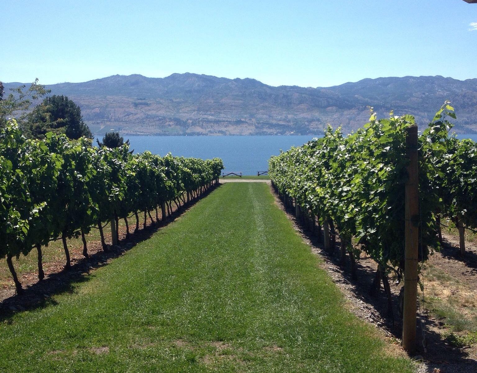 discover okanagan tours