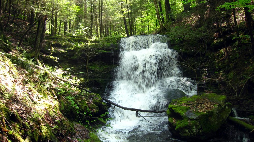 Oneonta 2021: Best of Oneonta, NY Tourism - Tripadvisor