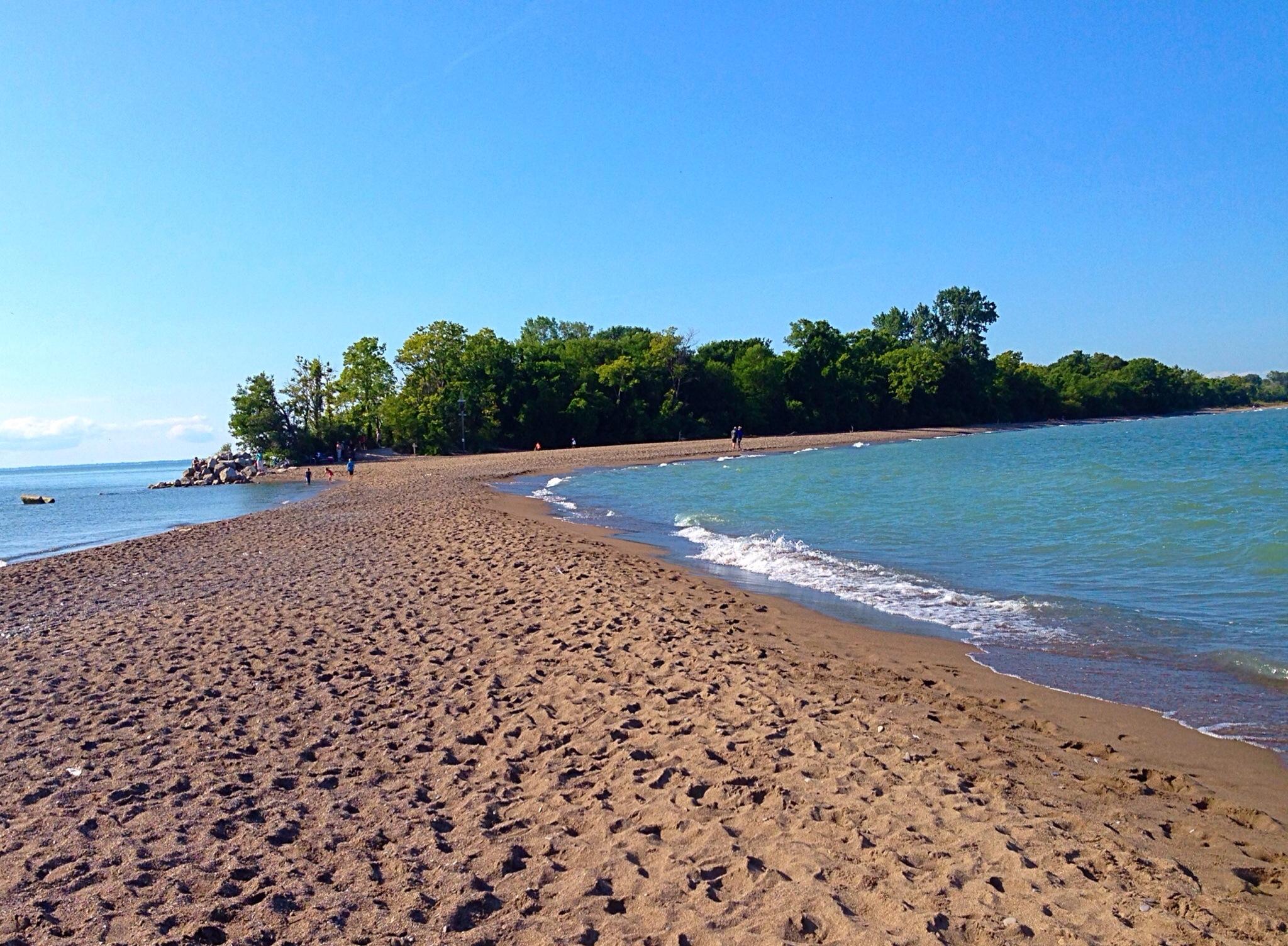 Point Pelee National Park Leamington Ce Qu Il Faut Savoir   The Point At Pelee 